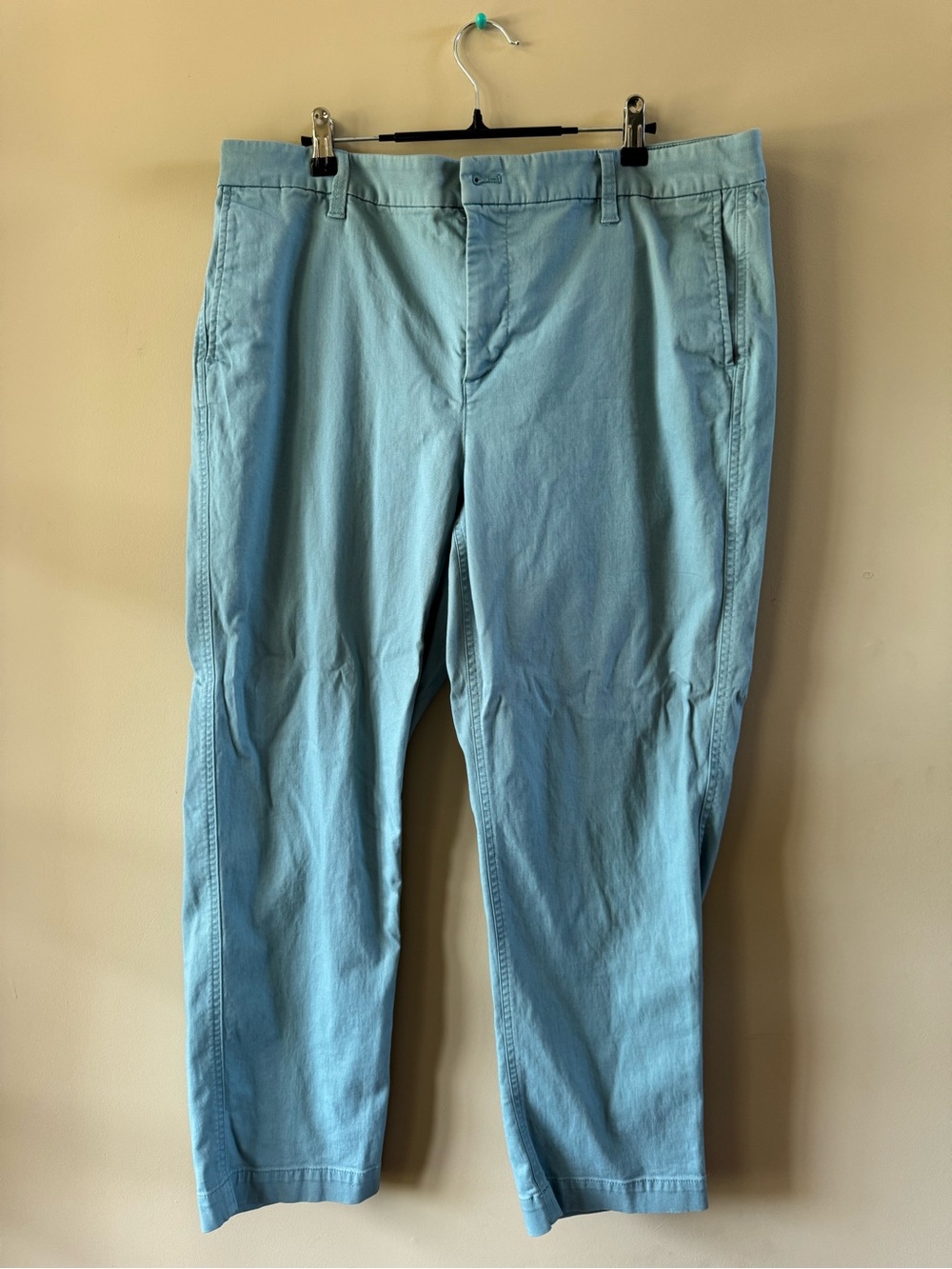 J. Crew Factory Light Blue Chino Pants